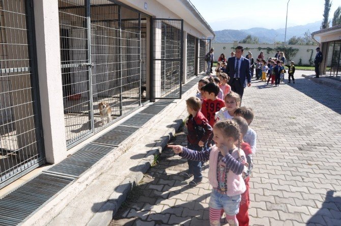 Salihli’de minikler hayvan barınağına ziyaret