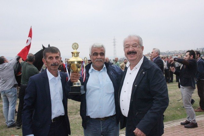 Rahvan Atlar Türkiye Şampiyonası Kocaeli’de yapıldı