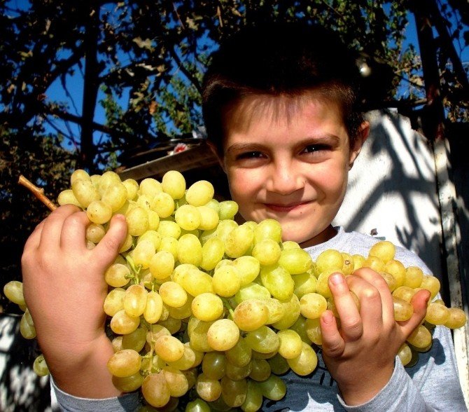 Bu üzüm salkımları başka