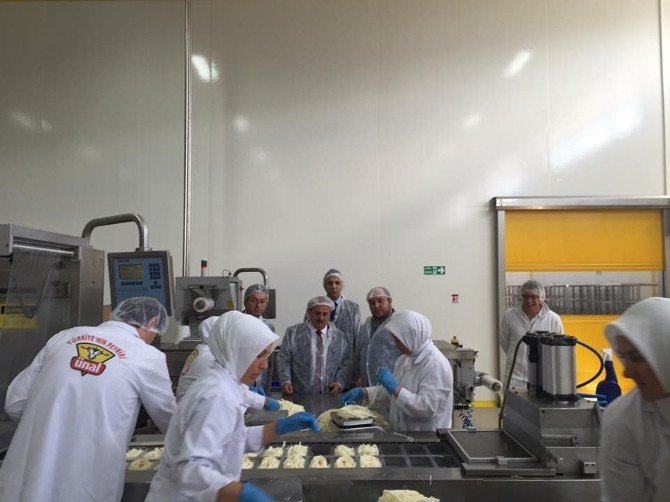 170 kişiyle üretim yapan peynir fabrikasında incelemeler