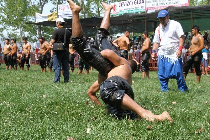Balaban kardeşler Seydikemer güreşlerine damga vurdu