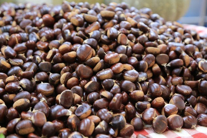 Şile Yeryüzü Pazarı sonbahar ve kışlık ürünlerle renklendi