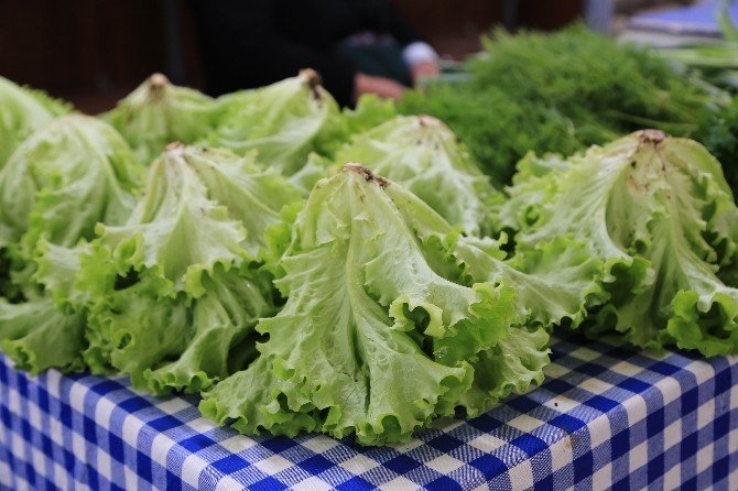 Şile Yeryüzü Pazarı sonbahar ve kışlık ürünlerle renklendi