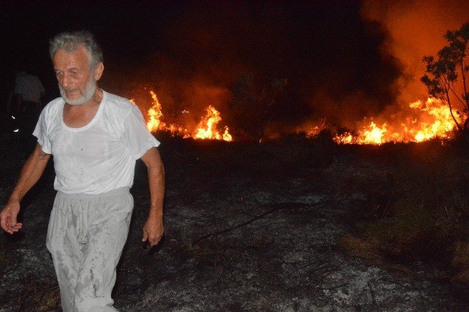 Sinop’ta ot yangını güçlükle söndürüldü