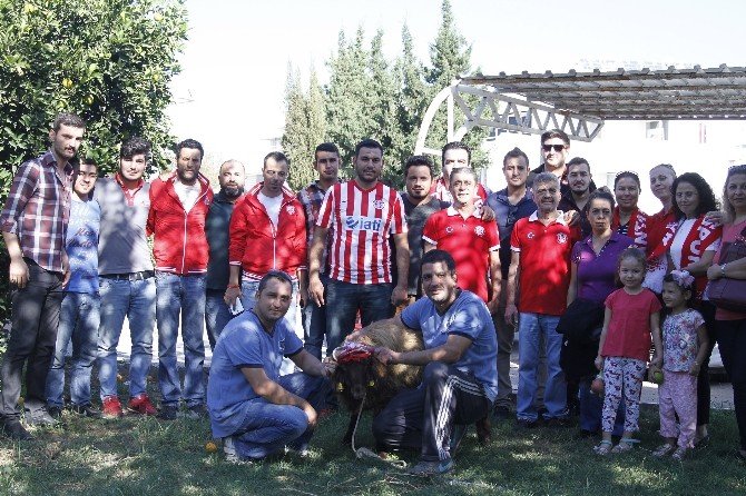 Ligde kötü günler geçiren Antalyaspor için kurban kestiler