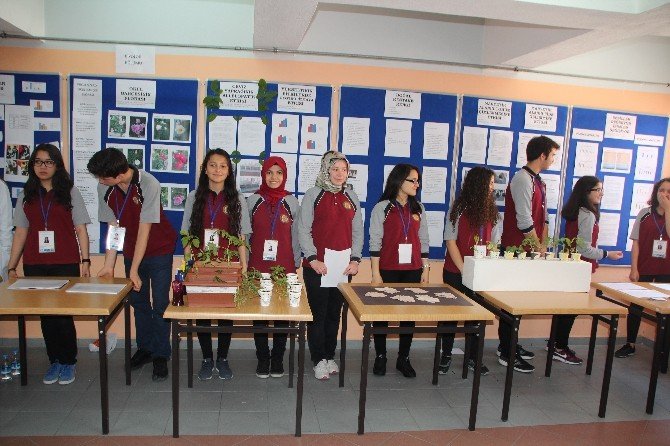 Bilecik Refik Arslan Öztürk Fen Lisesi’nde 4006 Bilim Fuarı Açıldı