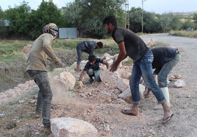Türkiye’deki Suriyelilerden, ’Fırat Kalkanı’ harekatına destek