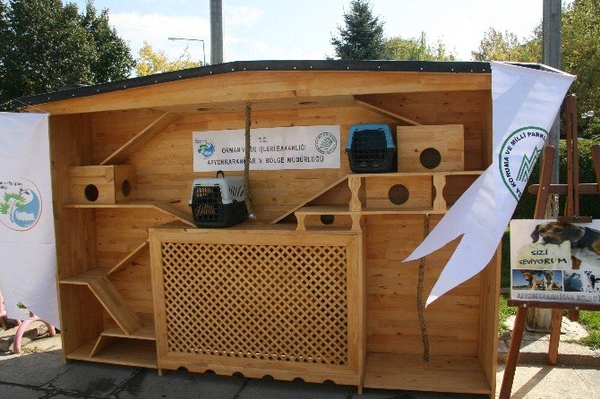 Kırılan kiremitlerin yerini “kuş evleri” alacak