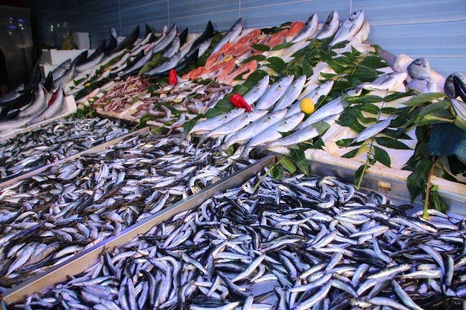 Bilecik’te balık fiyatları cep yakıyor