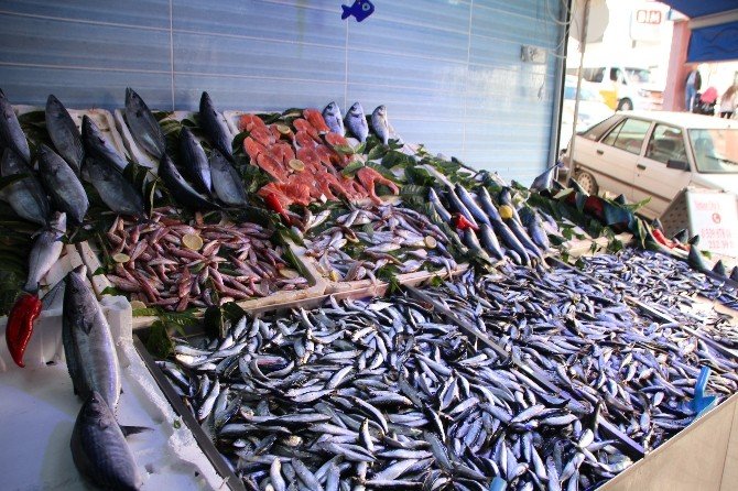 Bilecik’te balık fiyatları cep yakıyor