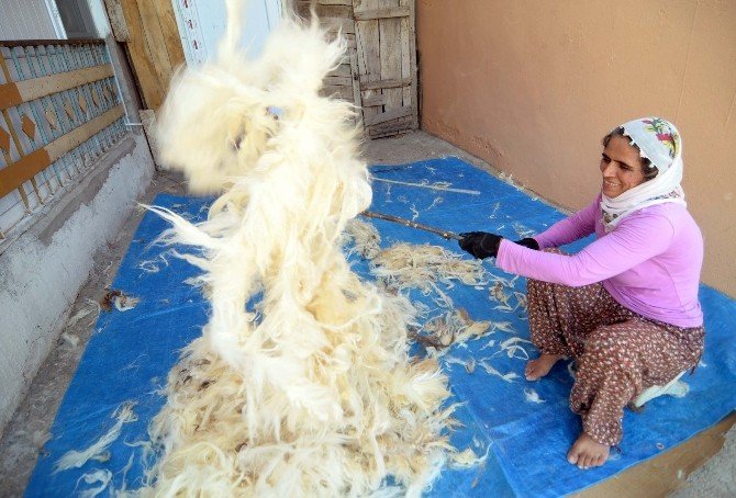 Kadınların yün çırpma mesaisi