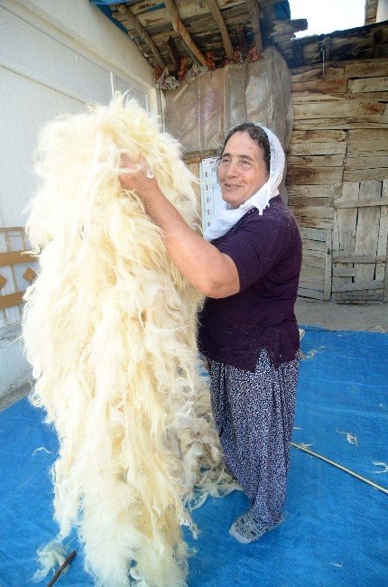 Kadınların yün çırpma mesaisi