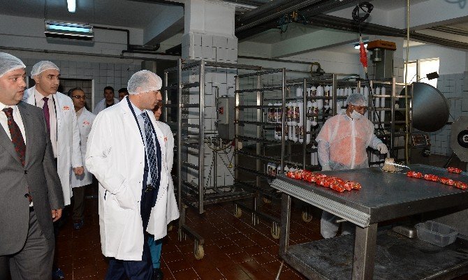 Vali Azizoğlu, et entegre tesislerini ziyaret etti