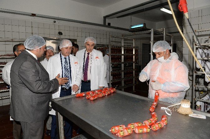 Vali Azizoğlu, et entegre tesislerini ziyaret etti