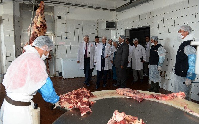 Vali Azizoğlu, et entegre tesislerini ziyaret etti