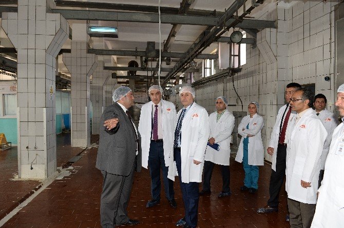 Vali Azizoğlu, et entegre tesislerini ziyaret etti
