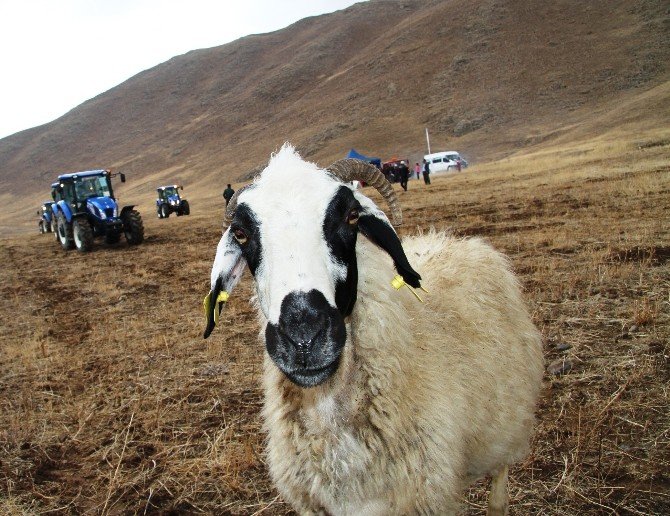 Artos Dağı eteğinde traktör tanıtımı