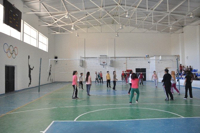 Viranşehir Kız Anadolu Lisesi Özel Okulları Geride Bıraktı