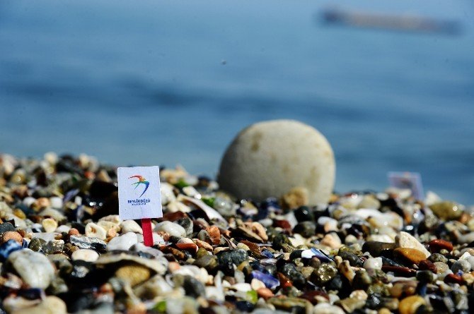 Gürpınar ve Marina’daki halk plajlarında yapılan ölçümlerde deniz tertemiz
