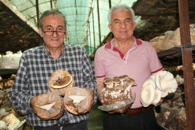 Talaş içinde sağlık üretiyor