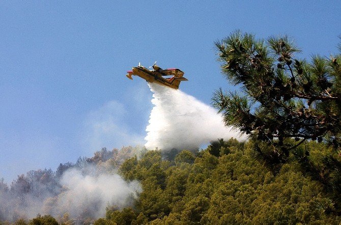 Aydın ve Muğla’da 300 orman yangını çıktı