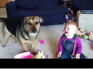 Komik Bebek ve Köpek İkilisi