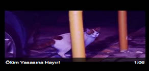 Ölüm yasasına hayır!