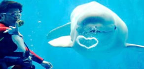 İnsan sesi çıkaran balina