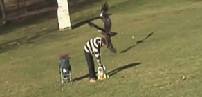 Kartal çocuğu kapıp havalandı ve... 