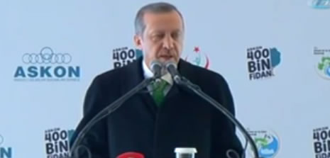 Basbakan fidan dikti, Gezi'cilere çattı