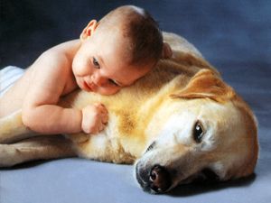 Köpek ile bebeğin dostluğu