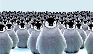 Binlerce penguen kurtarılmayı bekliyor!
